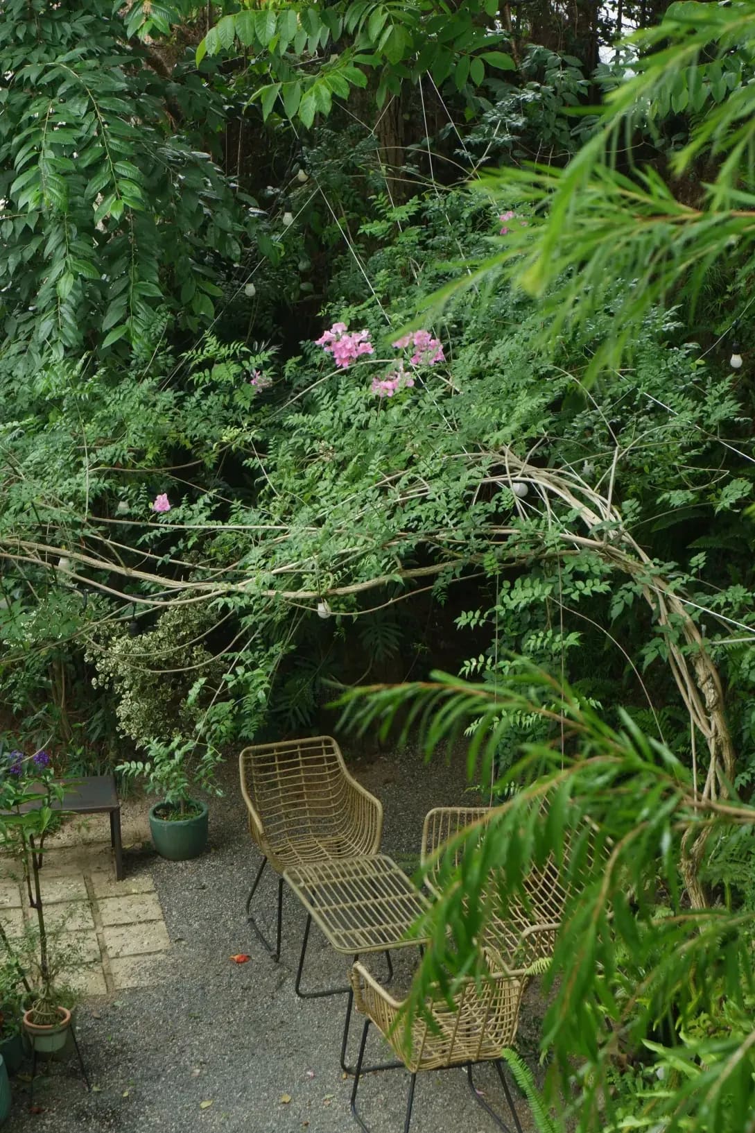 みどり庭園 8